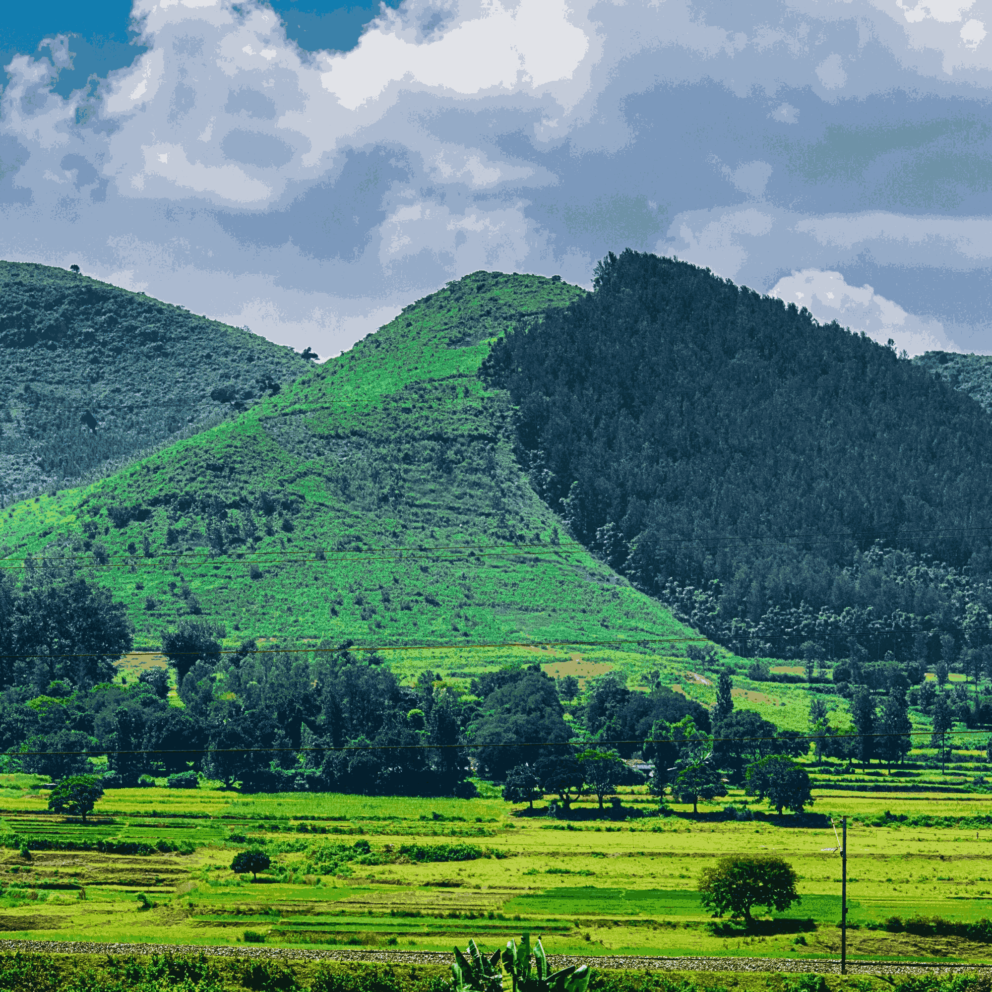 Talina Farms Hill View